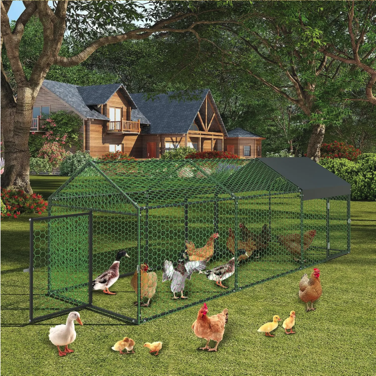 Grote Metalen Kippenren met Waterdichte UV Cover – Outdoor Pluimvee Ren