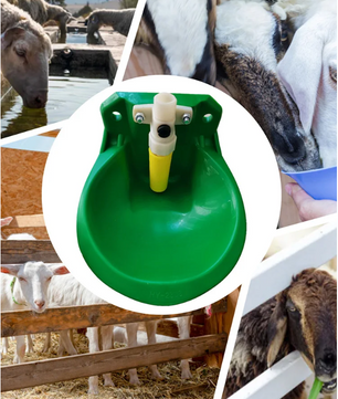 Automatische Drinkbak voor Schapen en Vee – Kunststof Waterbak