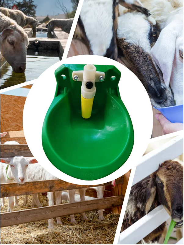 Automatische Drinkbak voor Schapen en Vee – Kunststof Waterbak