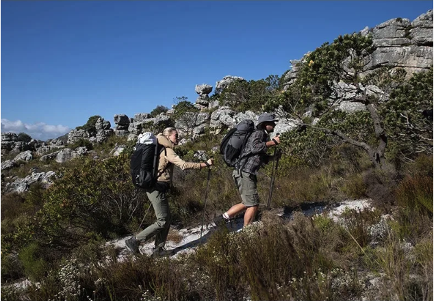 Trekking Stokken Set van 2 – Carbon Fiber, Lichtgewicht en Verstelbaar, Hiking en Outdoor