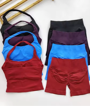 Dames Sportset 2-Delig – Backless Halter Top en High Waist Shorts Seamless