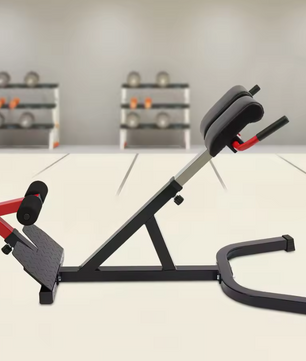 Multifunctionele Romeinse Stoel – Verstelbare Hyperextensie Bank met 5 Niveaus