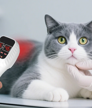 Draadloze Rood Licht Therapie Device – 650nm en 808nm Infrarood Huidverzorging en Spierherstel Apparaat met LCD Display