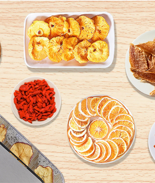 Voedseldroger 5 Lagen – Dehydrator met Timer en Temperatuurregeling