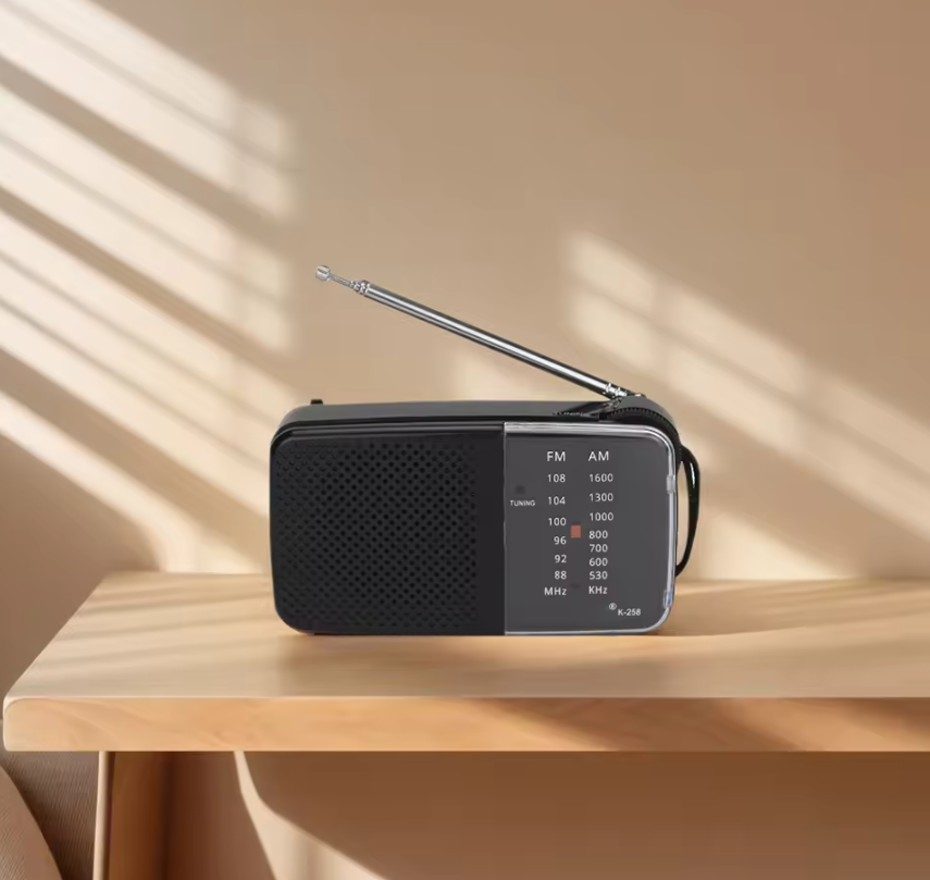 Draagbare AM/FM Radio met Speaker – Compacte Batterij Radio