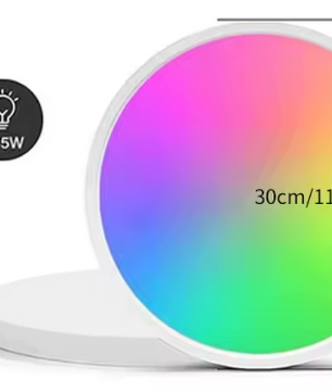 Smart LED Plafondlamp 24W – RGB Dimbaar met App en Voice Control