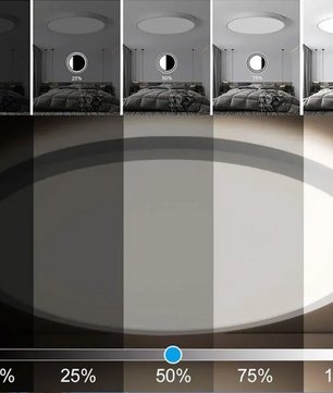 Smart LED Plafondlamp 24W – RGB Dimbaar met App en Voice Control