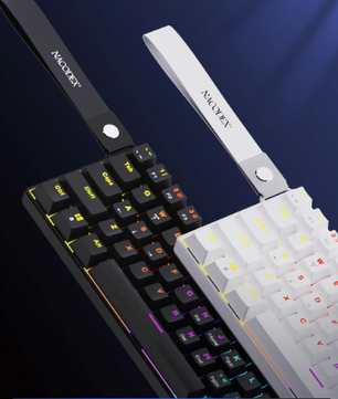 Compact Mechanisch Gaming Toetsenbord 61 Toetsen – RGB Verlichting, Hot-Swap Switches en Dubbelgespoten Keycaps
