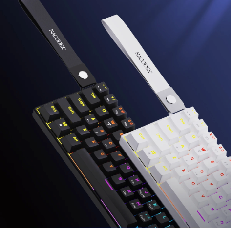 Compact Mechanisch Gaming Toetsenbord 61 Toetsen – RGB Verlichting, Hot-Swap Switches en Dubbelgespoten Keycaps