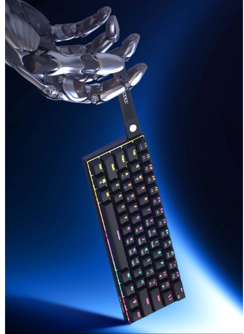 Compact Mechanisch Gaming Toetsenbord 61 Toetsen – RGB Verlichting, Hot-Swap Switches en Dubbelgespoten Keycaps