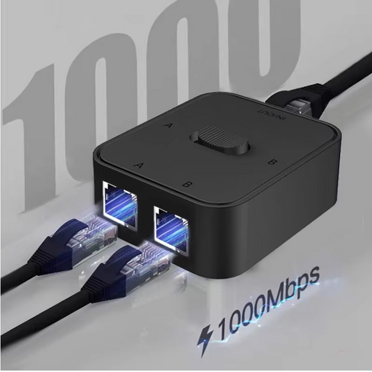 Gigabit Netwerk Splitter 2 Poorten – Handmatige RJ45 Switch zonder Stroom