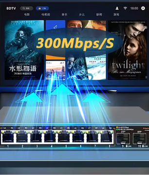 2.5G Netwerk Switch – 8 Poorten + 2×10G SFP, High-Speed Ethernet