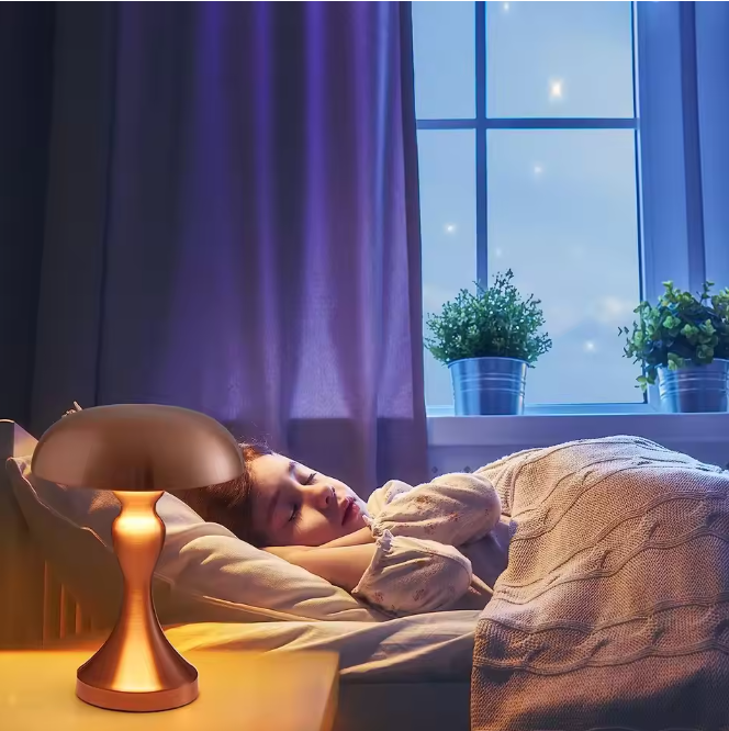 Moderne Plafondventilatorlamp – Houtkleur, LED & Afstandsbediening