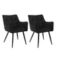 Set van 2 Fluwelen Eetkamerstoelen – Met Armleuningen & Metalen Poten