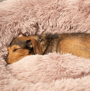 Fluffy Ondersteunend Hondenbed - Donut