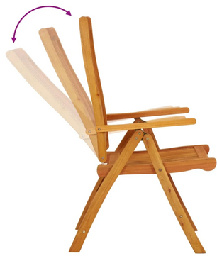 2 Opvouwbare Eucalyptushouten Tuinstoelen – 5-Standen Rugleuning