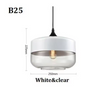 Moderne Nordic LED Hanglamp – Glas & Metaal, Zwart/Wit Design