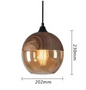 Moderne Nordic LED Hanglamp – Glas & Metaal, Zwart/Wit Design