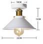 Vintage Industriële Plafondlamp – Rustiek Metalen Armatuur