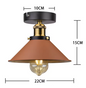 Vintage Industriële Plafondlamp – Rustiek Metalen Armatuur