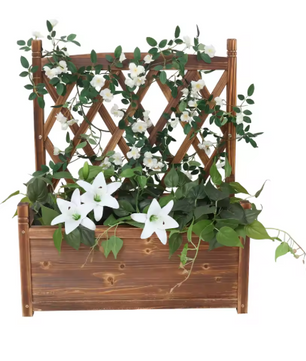Verhoogde Plantenbak met Trellis – Massief Dennenhout, Vrijstaand voor Klimplanten en Bloemen