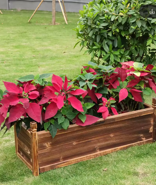 Verhoogde Houten Plantenbak – Massief Grenen, Duurzaam & Decoratief