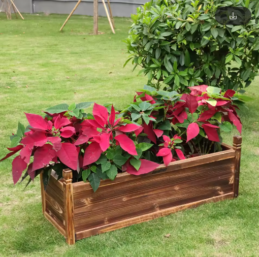 Verhoogde Houten Plantenbak – Massief Grenen, Duurzaam & Decoratief