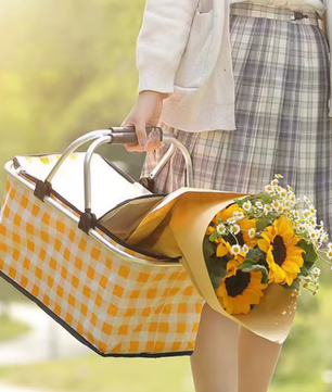 Opvouwbare Thermisch Geïsoleerde Koeltas – 30L, Waterdichte Voering & Draagmand voor Picknick, Kamperen en Reizen