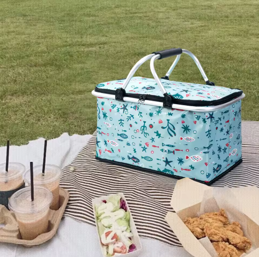 Opvouwbare Thermisch Geïsoleerde Koeltas – 30L, Waterdichte Voering & Draagmand voor Picknick, Kamperen en Reizen