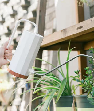 1000 ml Plant Gieter met Gebogen Mond – Multifunctionele Gieter voor Bonsai en Tuinplanten, Verwijderbaar Mondstuk