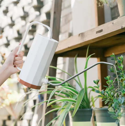 1000 ml Plant Gieter met Gebogen Mond – Multifunctionele Gieter voor Bonsai en Tuinplanten, Verwijderbaar Mondstuk
