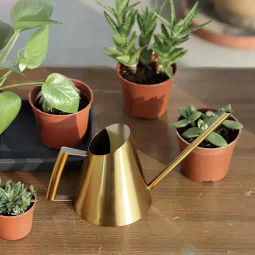 900 ml Roestvrijstalen Gieter met Nauwkeurige Schenktuit – Ideaal voor Kamerplanten, Tuingereedschap en Groene Plantenverzorging