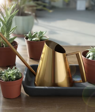 900 ml Roestvrijstalen Gieter met Nauwkeurige Schenktuit – Ideaal voor Kamerplanten, Tuingereedschap en Groene Plantenverzorging
