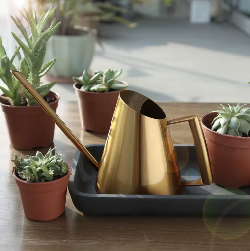 900 ml Roestvrijstalen Gieter met Nauwkeurige Schenktuit – Ideaal voor Kamerplanten, Tuingereedschap en Groene Plantenverzorging