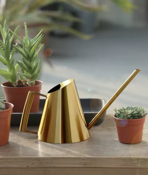 900 ml Roestvrijstalen Gieter met Nauwkeurige Schenktuit – Ideaal voor Kamerplanten, Tuingereedschap en Groene Plantenverzorging