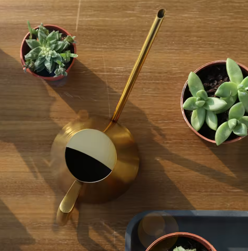 900 ml Roestvrijstalen Gieter met Nauwkeurige Schenktuit – Ideaal voor Kamerplanten, Tuingereedschap en Groene Plantenverzorging