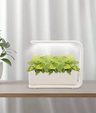 15W Hydrocultuur Kweekset met Grow Light – Verticaal Indoor Plantensysteem voor Kruid- en Groente Teelt