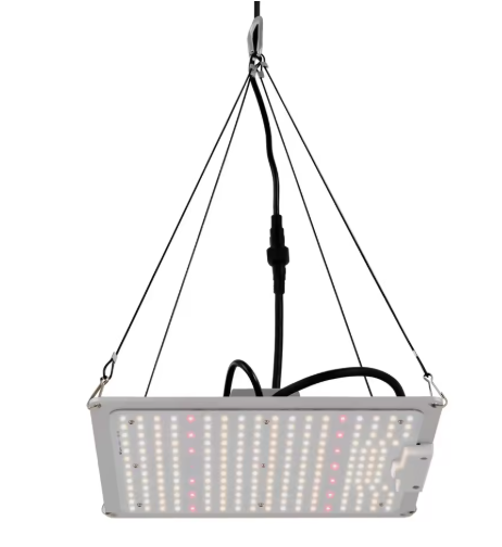 LED Groeilamp voor Kamerplanten – Dimbare Volledig Spectrum LED Plantengroeilamp met 5 Koppen, Lange Levensduur, Lage Geluidsproductie, Perfect voor Kruiden, Bloemen en Groenten