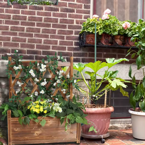 Verhoogd Tuinbed met Latwerk – Houten Plantenbak voor Groenten, Kruiden en Bloemen, Binnen en Buiten, Antieke Stijl
