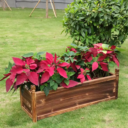 Verhoogde Houten Plantenbak voor Buiten – Ideaal voor Groenten, Bloemen en Kruiden