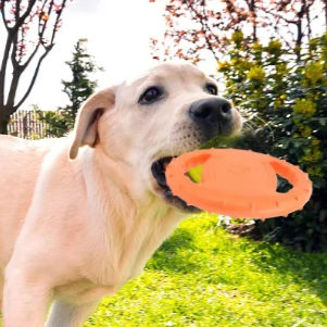 Honden Vliegende Schotel – Interactief Schuimspeelgoed voor Puppy’s en Middelgrote Honden