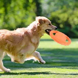 Honden Vliegende Schotel – Interactief Schuimspeelgoed voor Puppy’s en Middelgrote Honden