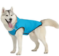 Waterdichte Hondenjas – Reflecterend Zomervest met Hoodie