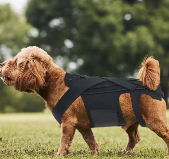Ademende Honden Rugbrace – Comfortabele Rugbeschermer voor Herstel & Revalidatie