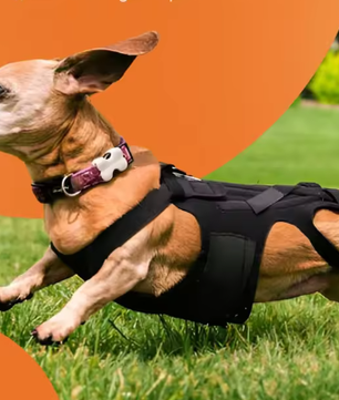 Ademende Honden Rugbrace – Comfortabele Rugbeschermer voor Herstel & Revalidatie