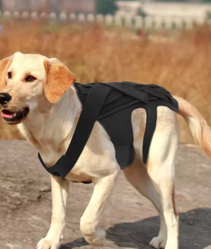 Ademende Honden Rugbrace – Comfortabele Rugbeschermer voor Herstel & Revalidatie