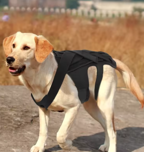 Ademende Honden Rugbrace – Comfortabele Rugbeschermer voor Herstel & Revalidatie