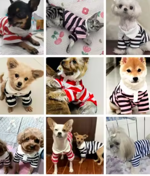 Zomer Poloshirt voor Honden – Ademend Katoen & Sportieve Streep