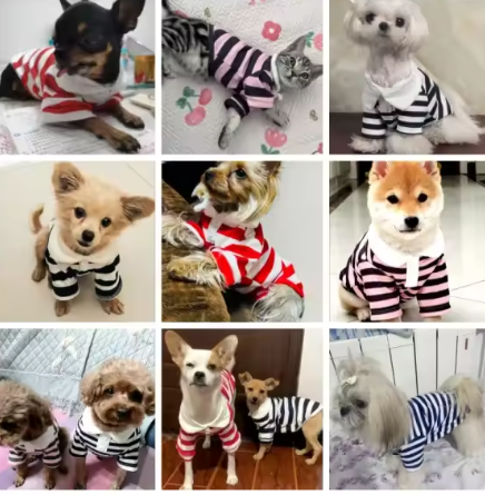 Zomer Poloshirt voor Honden – Ademend Katoen & Sportieve Streep