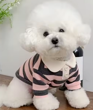 Zomer Poloshirt voor Honden – Ademend Katoen & Sportieve Streep